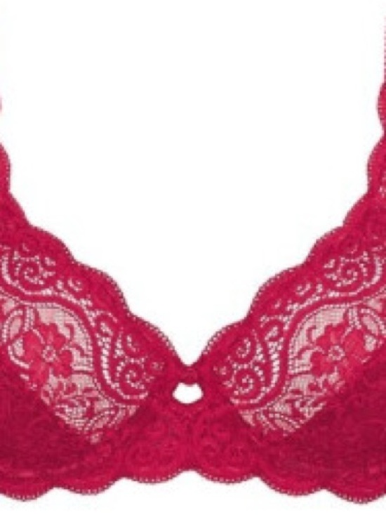Triumph Other - Triumph Lace Underwire Bra in Berry Red